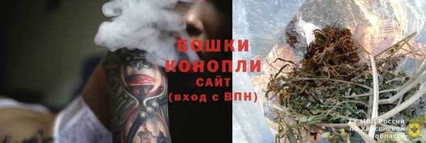твердый Богданович