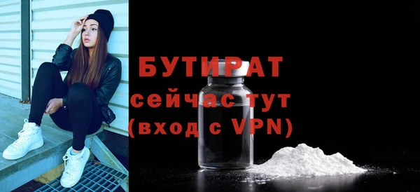 сатива Беломорск