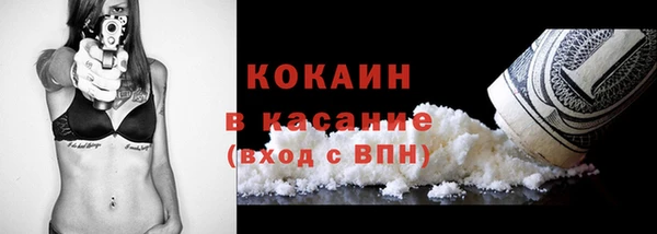 твердый Богданович