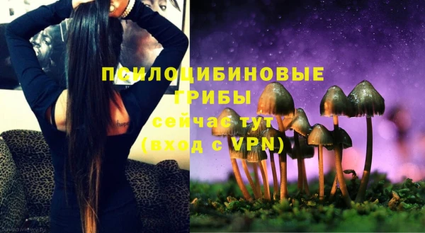 сатива Богородицк