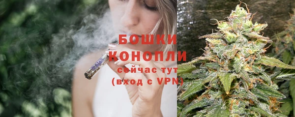 твердый Богданович