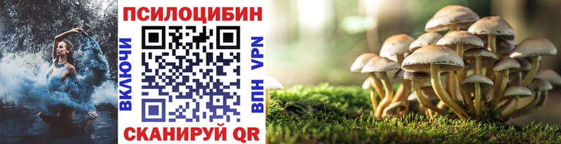 купить  цена  мориарти наркотические препараты  Псилоцибиновые грибы прущие грибы  Кашира 