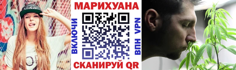 Конопля OG Kush Кашира